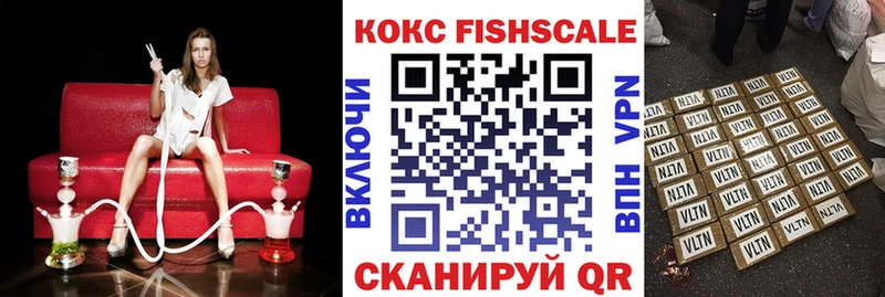 Cocaine FishScale  МЕГА как войти  Заозёрный  где найти  