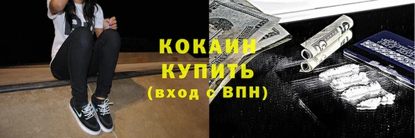 трава Богородицк