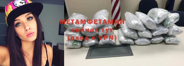 ГАЛЛЮЦИНОГЕННЫЕ ГРИБЫ Бородино
