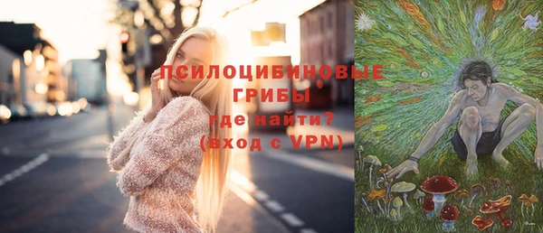 соль ск Переславль-Залесский