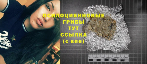 ПСИЛОЦИБИНОВЫЕ ГРИБЫ Богородск