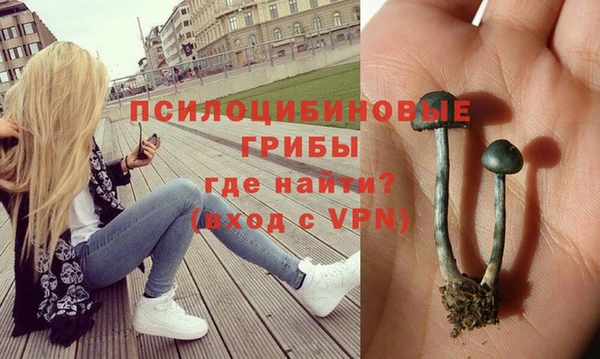 ГАЛЛЮЦИНОГЕННЫЕ ГРИБЫ Бородино
