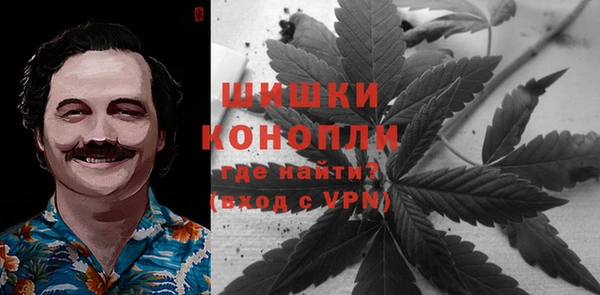 гидра Бугульма